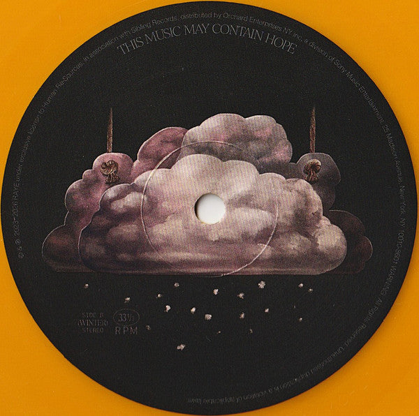 Raye – This Music May Contain Hope. (2xLP) LP vinyl record, image 6 of 10
