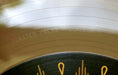 Jerry Cantrell – Brighten LP vinyl record, image 9 of 10