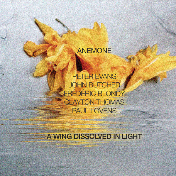 Anemone – A Wing Dissolved In Light LP vinyl record, image 1 of 2