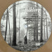Taylor Swift – Folklore (2xLP) LP vinyl record, image 5 of 10