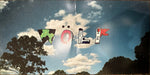Tyler, The Creator – Wolf (2xLP) LP vinyl record, image 8 of 10