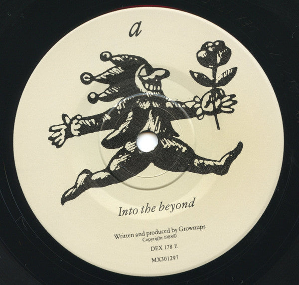 Grownups – Into The Beyond 7" vinyl record, image 3 of 4