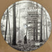 Taylor Swift – Folklore (2xLP) LP vinyl record, image 6 of 10