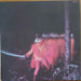 Black Sabbath – Paranoid LP vinyl record, image 4 of 7