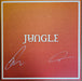 Jungle – Volcano LP vinyl record, image 8 of 8