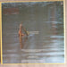 Paul Young – Every Time You Go Away (Extended Remix Version) 12" vinyl record, image 2 of 4
