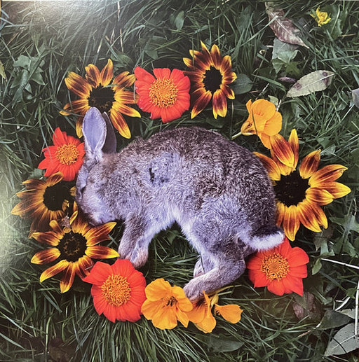 Monolord – Your Time To Shine LP vinyl record, image 1 of 8
