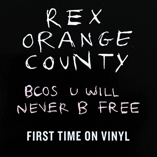 Rex Orange County – Bcos U Will Never B Free LP vinyl record, image 7 of 7