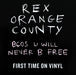 Rex Orange County – Bcos U Will Never B Free LP vinyl record, image 7 of 7