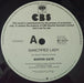 Marvin Gaye – Sanctified Lady 12" vinyl record, image 3 of 3