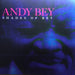 Andy Bey – Shades Of Bey (2xLP) LP vinyl record, image 1 of 8
