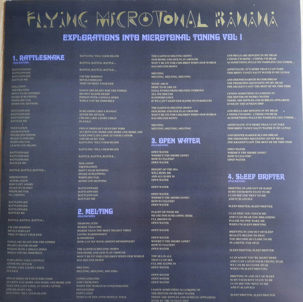 King Gizzard And The Lizard Wizard – Flying Microtonal Banana (Explorations Into Microtonal Tuning Volume 1) LP vinyl record, image 4 of 7