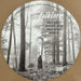 Taylor Swift – Folklore (2xLP) LP vinyl record, image 7 of 10