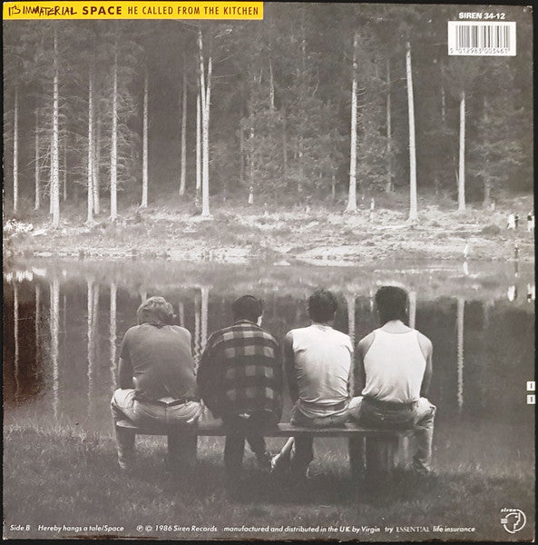 It's Immaterial – Space, He Called From The Kitchen.... 12" vinyl record, image 2 of 4