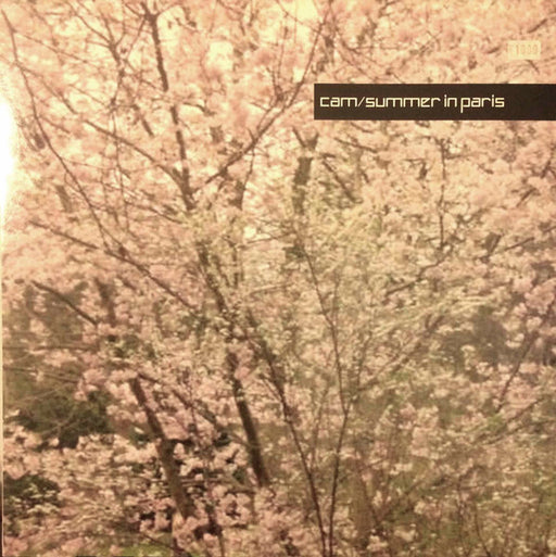 DJ Cam – Summer In Paris 12" vinyl record