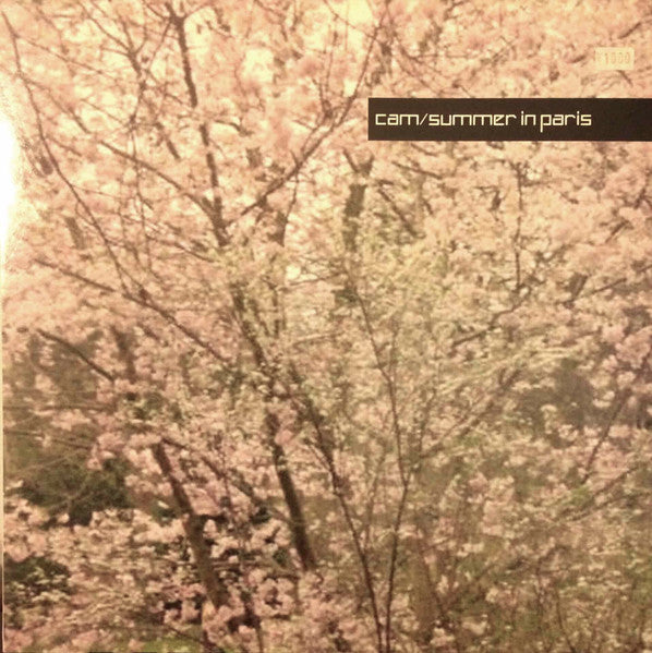 DJ Cam – Summer In Paris 12" vinyl record