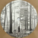 Taylor Swift – Folklore (2xLP) LP vinyl record, image 8 of 10