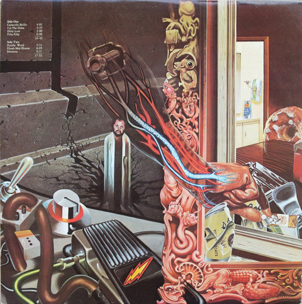 Frank Zappa, The Mothers – Over-Nite Sensation LP vinyl record, image 2 of 6