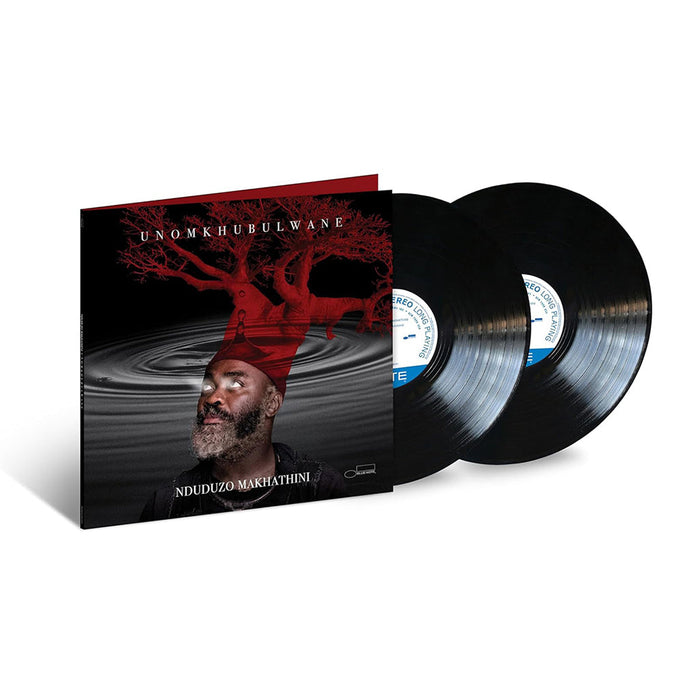 Nduduzo Makhathini – Unomkhubulwane (2xLP) LP vinyl record, image 2 of 2