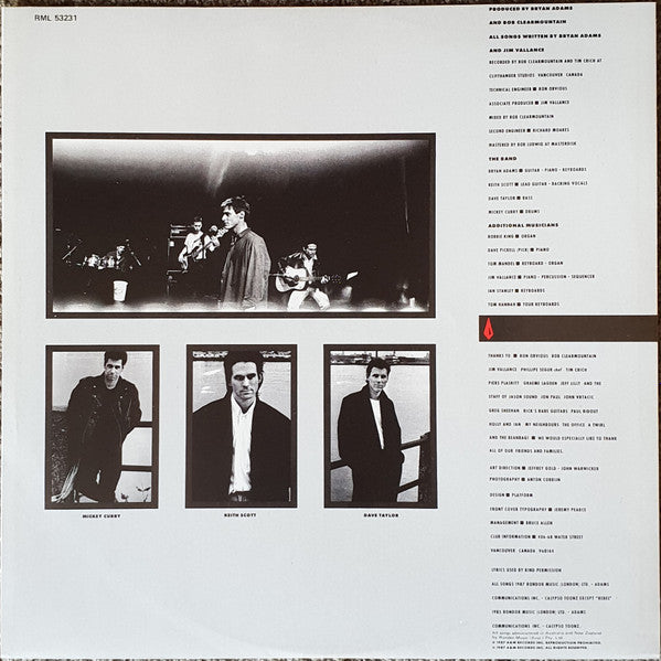 Bryan Adams – Into The Fire LP vinyl record, image 4 of 8