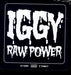 The Stooges – Raw Power LP vinyl record, image 2 of 4