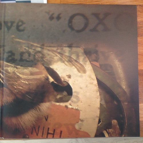 Jared Ambience Inc. – Rats LP vinyl record, image 6 of 7