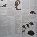 Parquet Courts – Human Performance LP vinyl record, image 6 of 8
