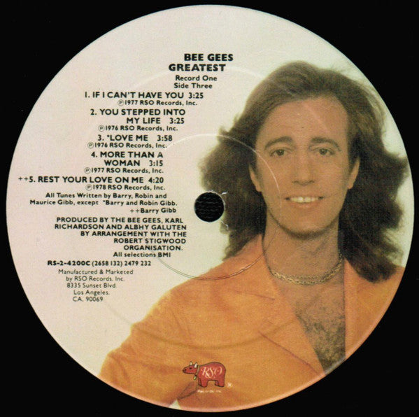 Bee Gees – Bee Gees Greatest (2xLP) LP vinyl record, image 10 of 10