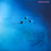 Purling Hiss – High Bias LP vinyl record, image 1 of 6
