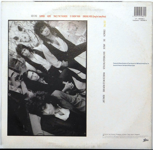 Nuclear Valdez – I Am I LP vinyl record, image 2 of 2