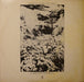 Tom Rapp – Familiar Songs LP vinyl record, image 2 of 4