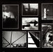 Pink Floyd, Pink Floyd – Animals = アニマルズ LP vinyl record, image 4 of 10