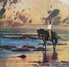 John Denver – Windsong LP vinyl record, image 9 of 9