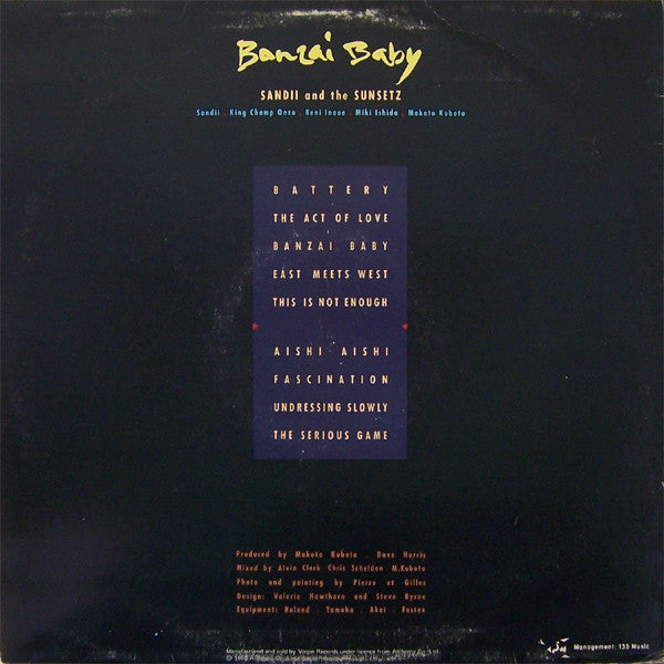 Sandii & The Sunsetz – Banzai Baby LP vinyl record, image 2 of 3