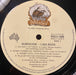 Lisa Bade – Suspicion LP vinyl record, image 8 of 9