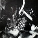 Nirvana – Incesticide LP vinyl record, image 6 of 8