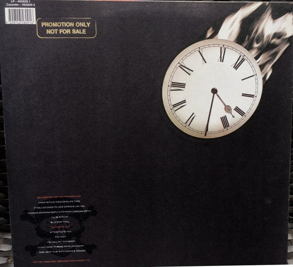Terence Trent D'Arby – Terence Trent D'Arby's Neither Fish Nor Flesh: A Soundtrack Of Love, Faith, Hope, And Destruction LP vinyl record, image 3 of 5