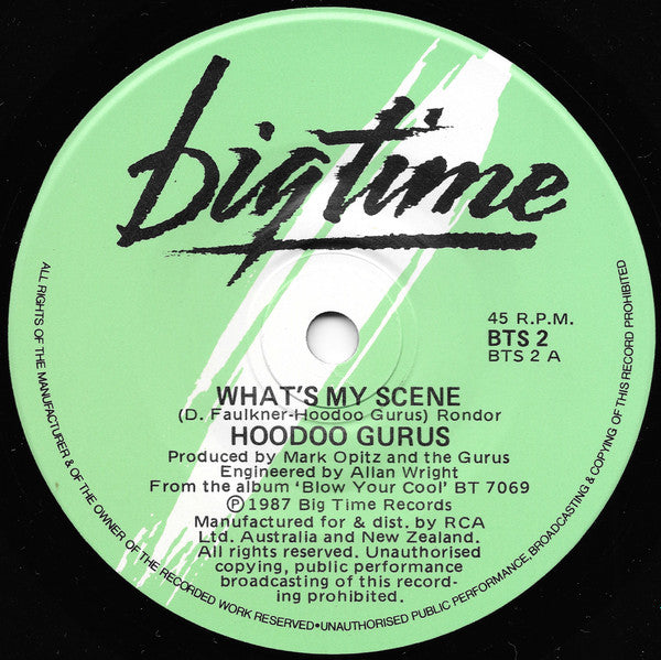Hoodoo Gurus – What's My Scene