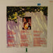 Bryn Haworth – Sunny Side Of The Street LP vinyl record, image 2 of 6