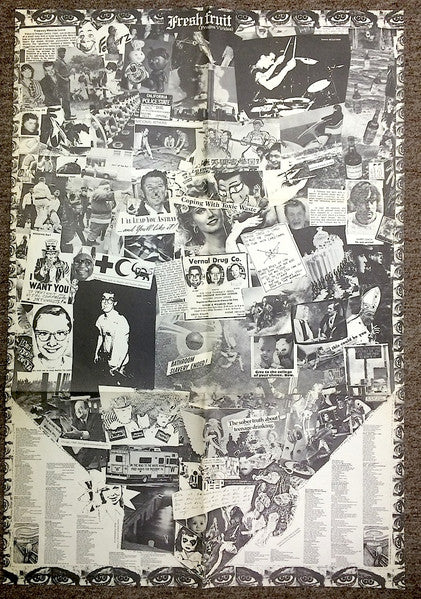 Dead Kennedys – Fresh Fruit For Rotting Vegetables LP vinyl record, image 6 of 9