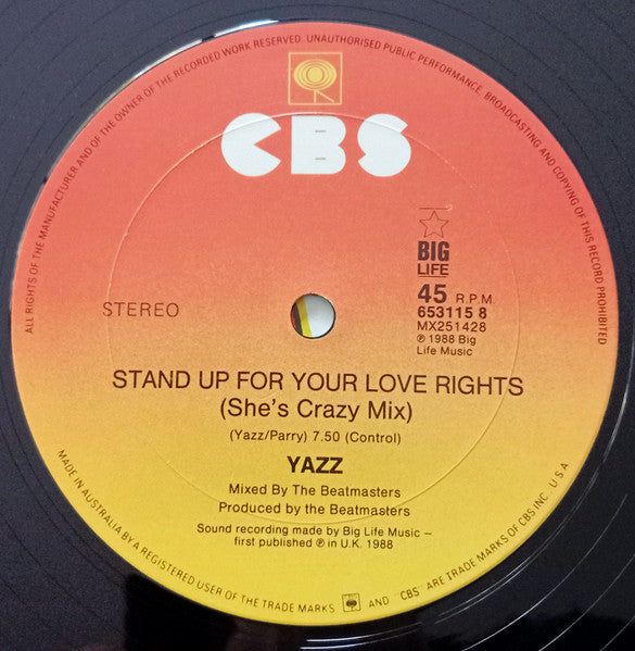 Yazz – Stand Up For Your Love Rights (The Remixes) 12" vinyl record, image 4 of 4