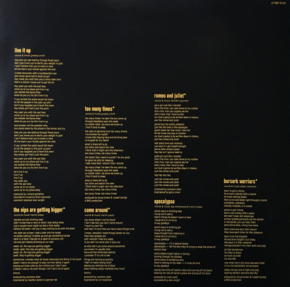 Mental As Anything – Greatest Hits Vol. 1 LP vinyl record, image 6 of 8