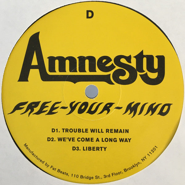 Amnesty – Free Your Mind (The 700 West Sessions) (2xLP) LP vinyl record, image 8 of 10