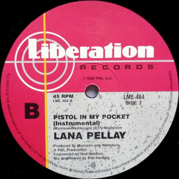 Alan Pillay – Pistol In My Pocket 12" vinyl record, image 6 of 6