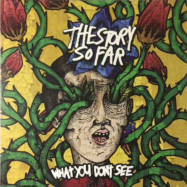 The Story So Far – What You Don't See