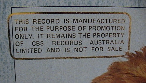 Toyah – Don't Fall In Love (I Said) 12" vinyl record, image 3 of 7