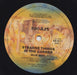 Blue Ruin – Strange Things In The Corner LP vinyl record, image 4 of 4