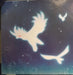 Steve Miller Band – Circle Of Love LP vinyl record, image 5 of 7