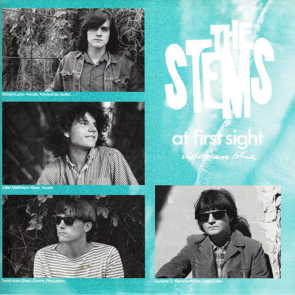 The Stems – At First Sight Violets Are Blue LP vinyl record, image 6 of 6