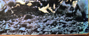 Mike Oldfield – Tubular Bells LP vinyl record, image 6 of 6